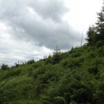 So war das nicht vorhergesagt!