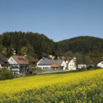 Rückblick auf Högen und den Wasserberg