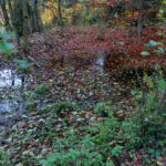 Hüle auf dem Rückweg