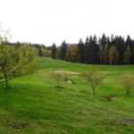 Quelle mit Streuobst