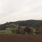 Meisthof und Seibertshof