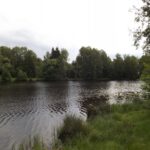 Dolní Hraniční rybník (Unterer Reichenthaler Weiher)