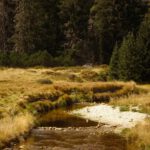 Wer die Dämme wohl gebaut hat? Laut Karte ist das diesseitige Ufer noch nicht Schutzgebiet, laut Taferln schon