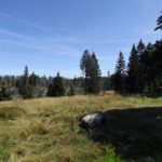 Ausblick in den Schachtenfilz