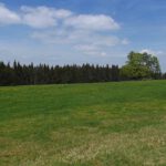 Diese Wiese sieht doch leicht bewirtschaftet aus Diese Wiese sieht doch leicht bewirtschaftet aus