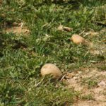 Übriggeblieben Übriggeblieben