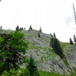 Wand zum Wilden Freithof