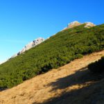 Rückblick zum Gipfel über ein paar Latschenfelder Rückblick zum Gipfel über ein paar Latschenfelder