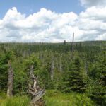 Šumavatypische Hochebene auf der bayerischen Seite Šumavatypische Hochebene auf der bayerischen Seite