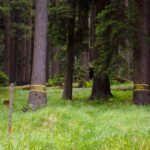 Was diese Zahlen bedeuten mögen?