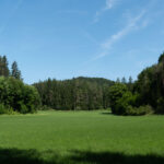 Da ist ein Burgstall drauf, hätte ich fast noch mitnehmen können