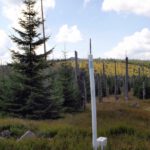 Hintereinander Hintereinander