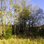 Militärbaracke in Václav Militärbaracke in Václav