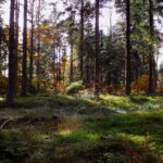 Da hinten ist irgendwo der wahre Punkt 1049