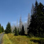 Jelení skok (tschechischer Teil des Hirschgespreng)