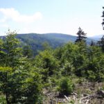 Endlich ein Streckenüberblick