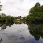 Spieglung im Stadtparksee