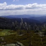 Panorama Süd mit Falkenstein und Rachel