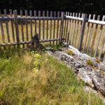 Geschützter Wachsraum mit genügend Nährstoff