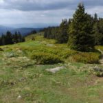 Osserwiese Osserwiese