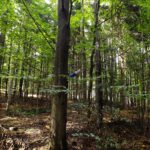 Beobachterp(f)osten Beobachterp(f)osten