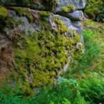 Flechterlteppich Flechterlteppich