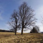 Kurz vor dem (Fußgänger-)Grenzübergang Hermannsreuth