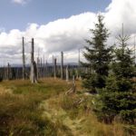 Lohnender Grenzsteig Lohnender Grenzsteig