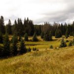 Der Triftteich ist erhalten