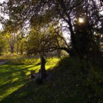 Zwischen Licht und Schatten Zwischen Licht und Schatten