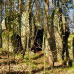 Ob da auch Rituale durchgeführt wurden?