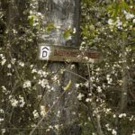 Blüten und Knospen verdecken den Hinweis auf die Einkehr