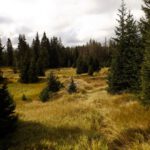 Die Mauern umschließen den Teich komplett