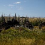 Südwestkamm des Mittagsbergs