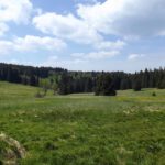 Auch hier ist Naturschutzgebiet Auch hier ist Naturschutzgebiet