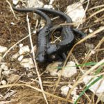 Wir haben uns ganz ganz lieb