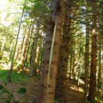 Interessanter Aufbewahrungsplatz