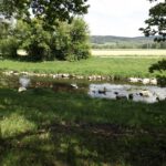 Sieht gar nicht nach Flutkanal aus