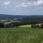 Dienhof und Hirschau