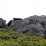 Großer Wiesenriegel Großer Wiesenriegel