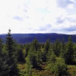 Da gehe ich morgen hinauf