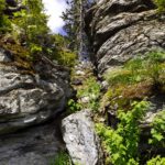 Spaltwegerl Spaltwegerl