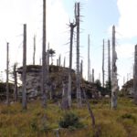 Gipfelbereich des Plattenhausriegel Gipfelbereich des Plattenhausriegel