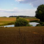 Teich am Karl-Krampol-Weg