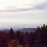 Ausblick Richtung Bogen