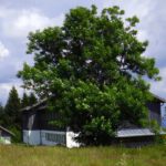 Einkeeeeeeeeehrschwuuuuuuuuuuuung!!!!