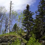 Das Gipfelkreuz des Kleinen Arbers Das Gipfelkreuz des Kleinen Arbers