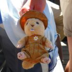 Plüschmurmelchens zählen leider nicht für die Statistik