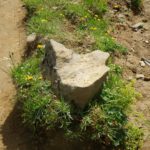 Kein Stück Käse...leider... Kein Stück Käse...leider...