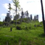 Wenn der Pfad über alle Riegel slalomen würde, wäre er wohl 5 km und 400 hm länger